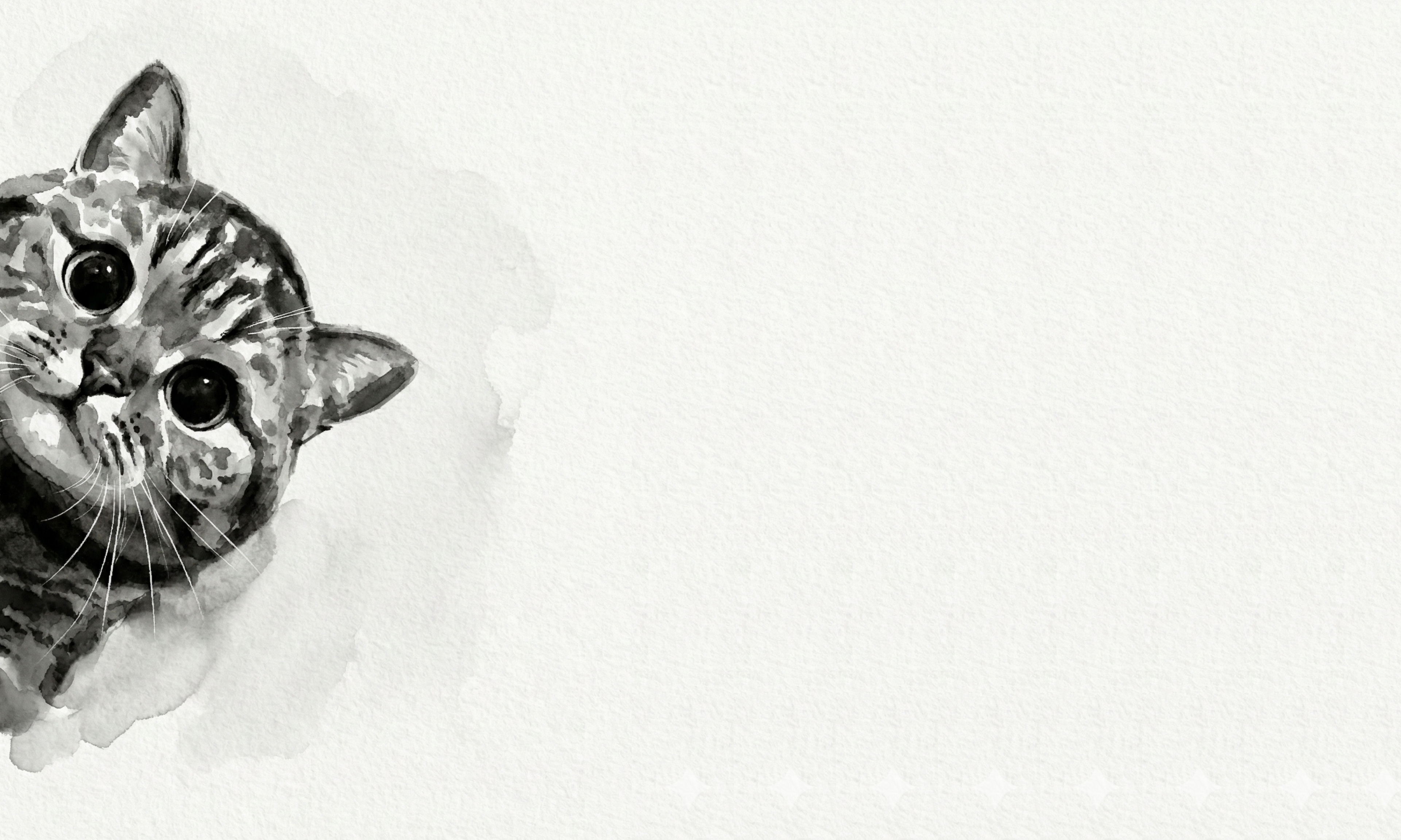 Kediler Stresimizi Azaltır mı?