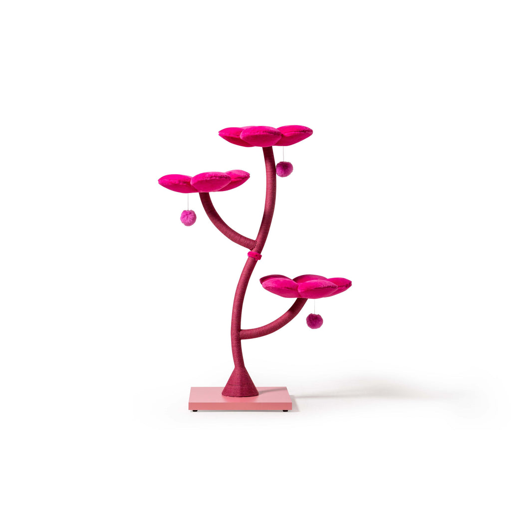 Arbor Luxe