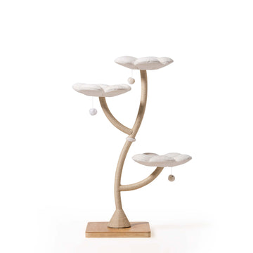 Arbor Luxe