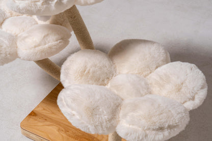 Lush Luxe