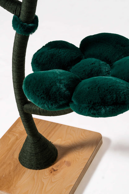 Arbor Luxe