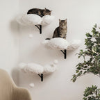 PurrWall