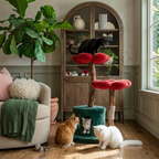 Harmony Woods doğal ahşap kedi ağacı Maruvis ön görünüm