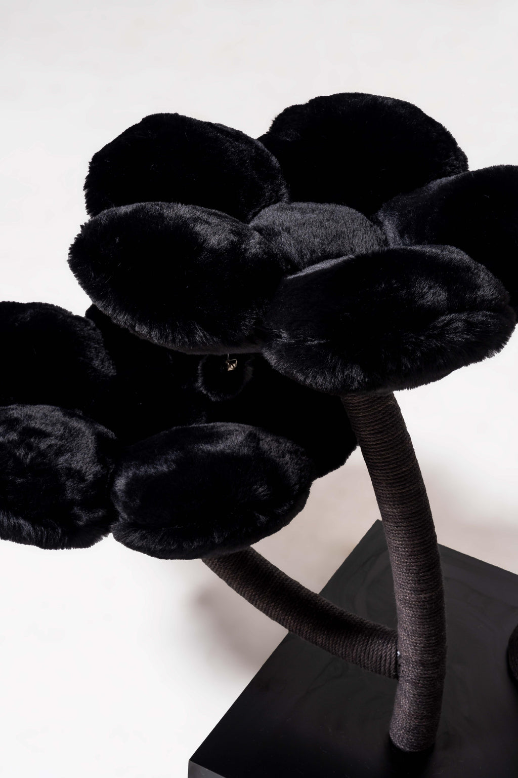 ic mekana uyumlu buyuk kedi evi
