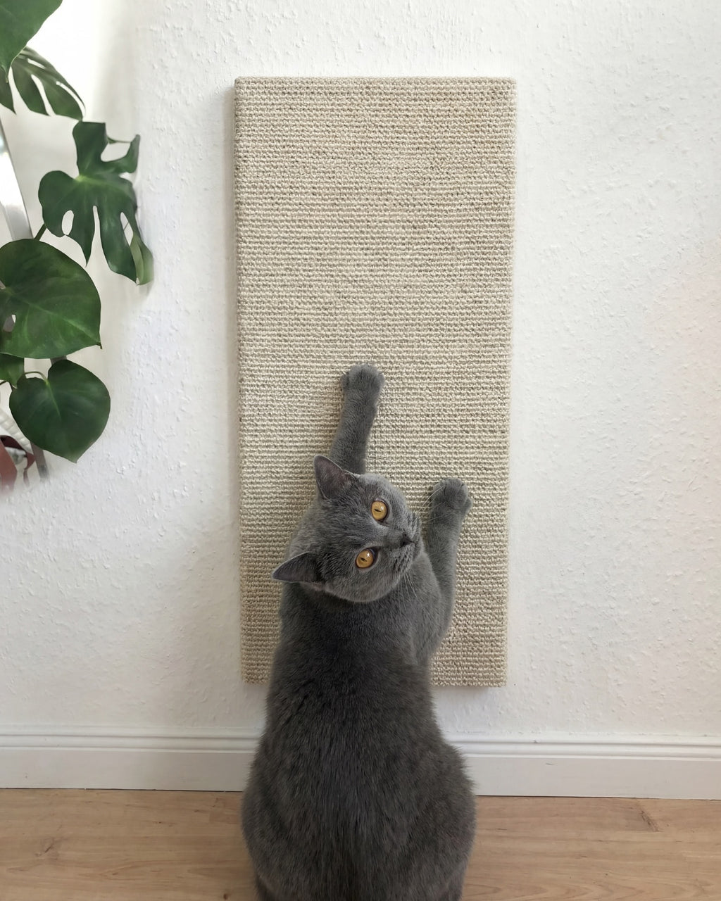 PurrPanel