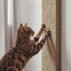PurrPanel kedi tırmalama tahtası kullanım ve montaj görseli