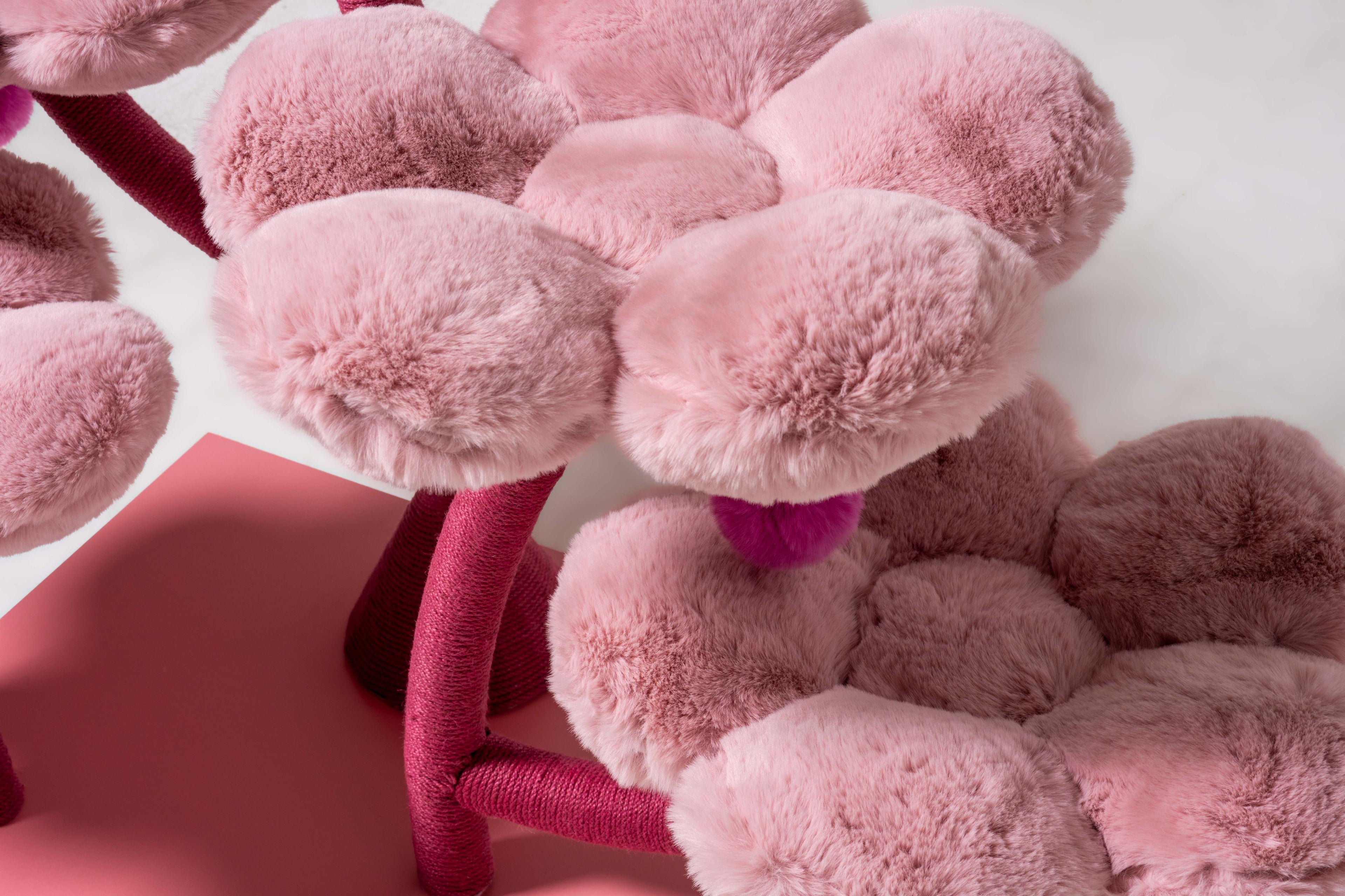 tirmanma platformlu pelus kedi evi
